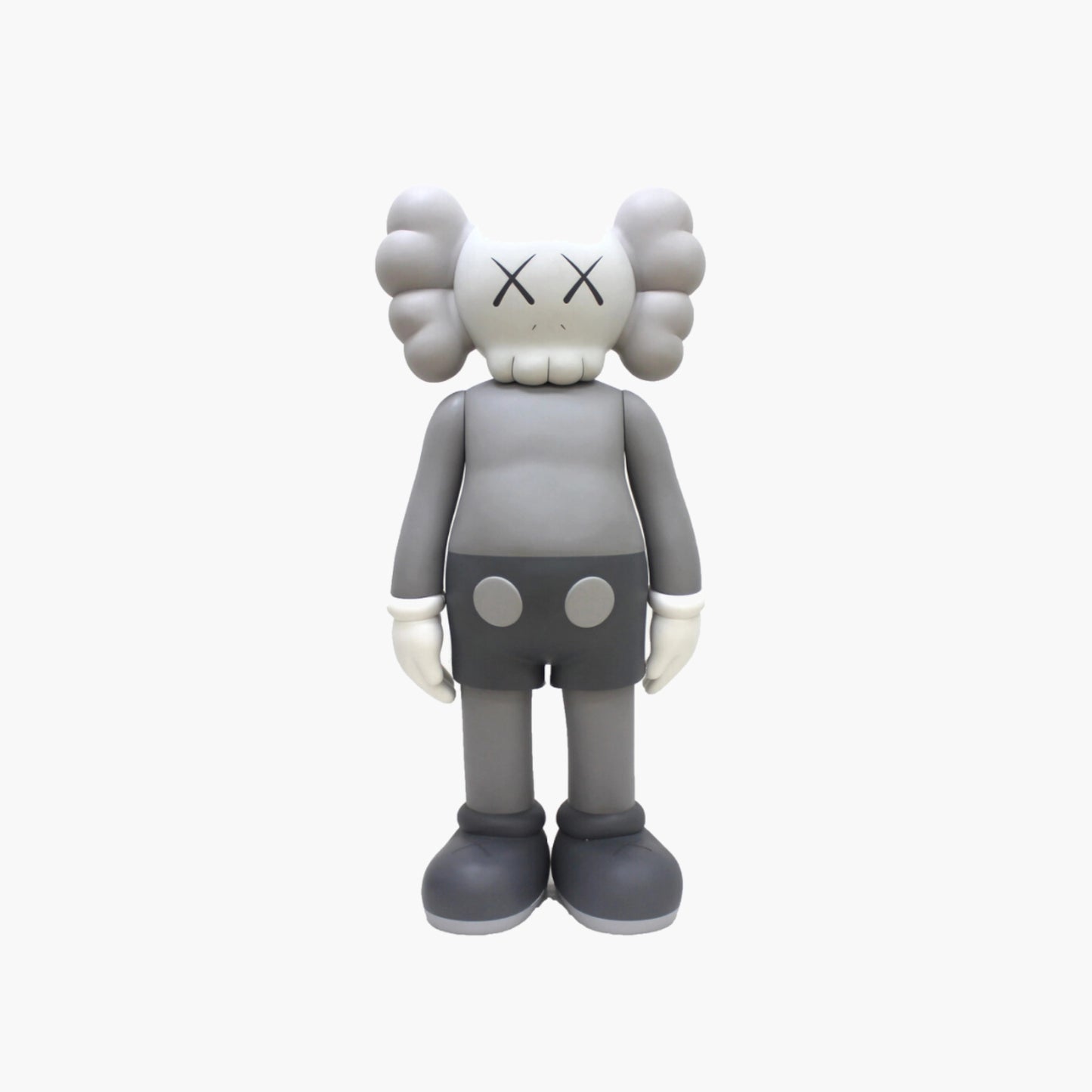 Companion Grey, 2016