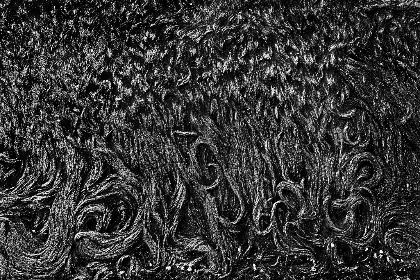 I capelli di Venezia III, 2016